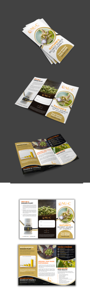 Design de Flyer par debdesign pour Kakadu Health | Design : #25695282