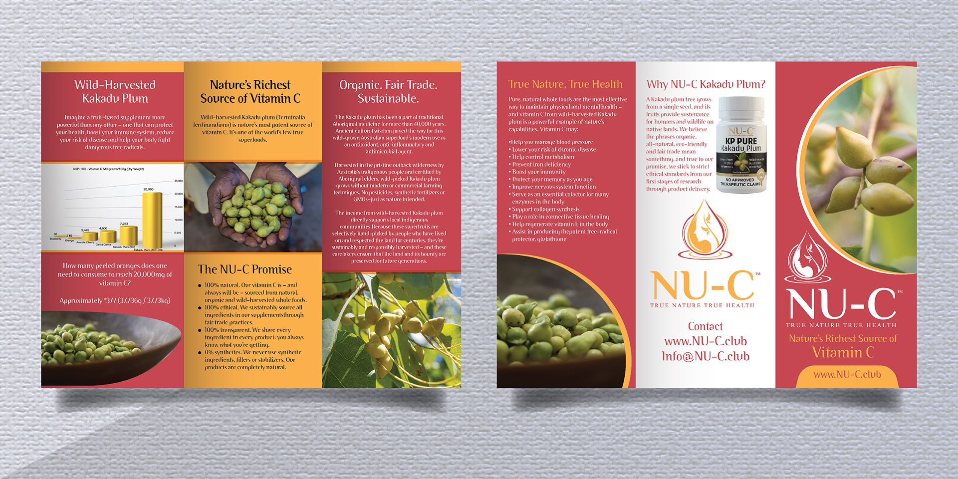 Flyer Design by Deziners Zone for Kakadu Health | Design #25677149