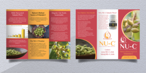 Design de Flyer par Deziners Zone pour Kakadu Health | Design : #25677149