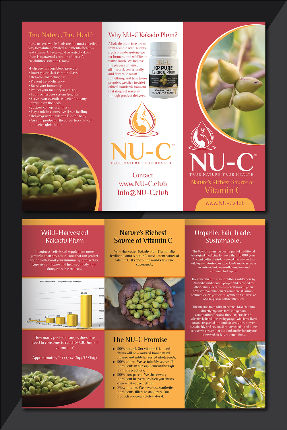 Flyer Design by Deziners Zone for Kakadu Health | Design #25677150