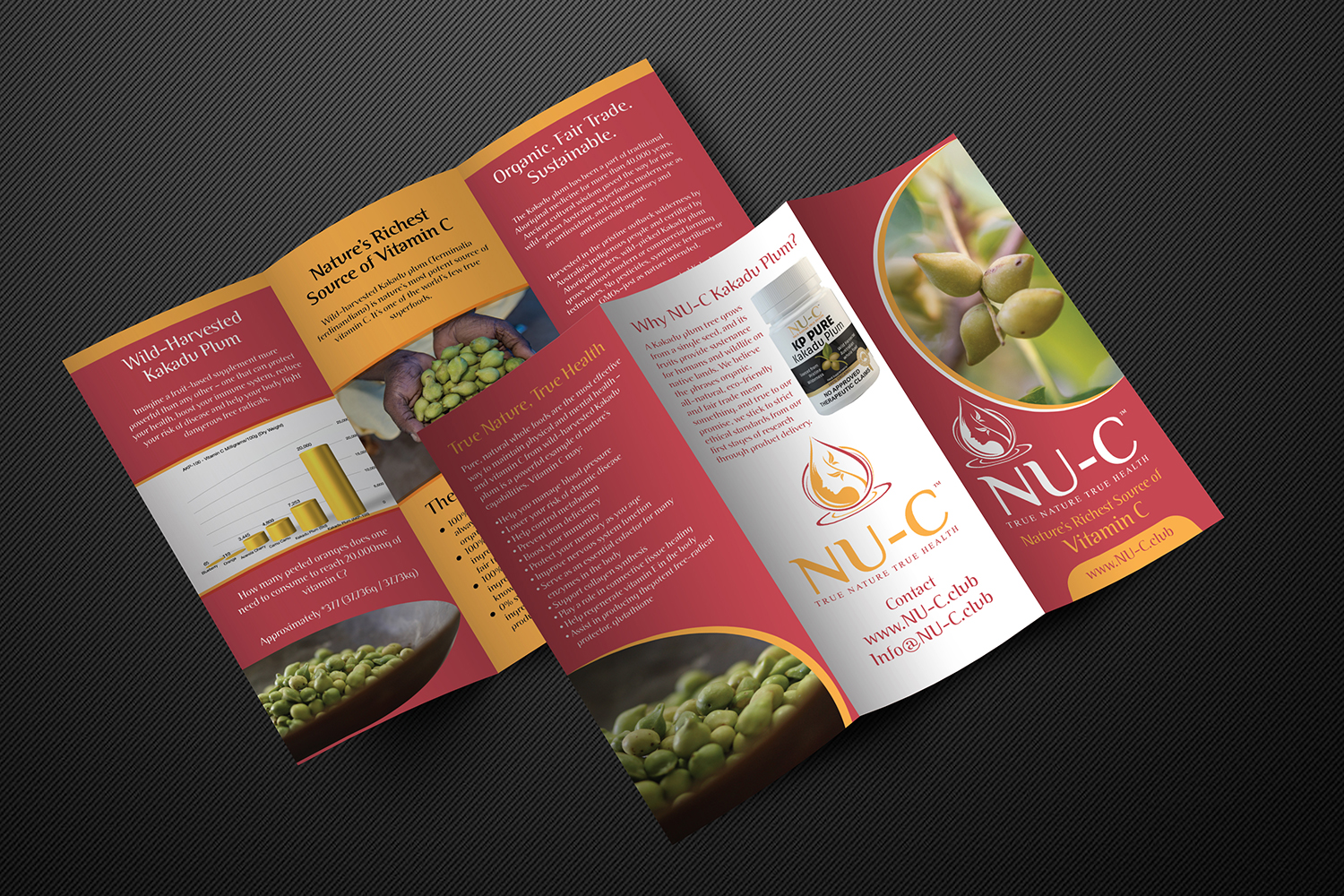 Flyer Design by Deziners Zone for Kakadu Health | Design #25677151