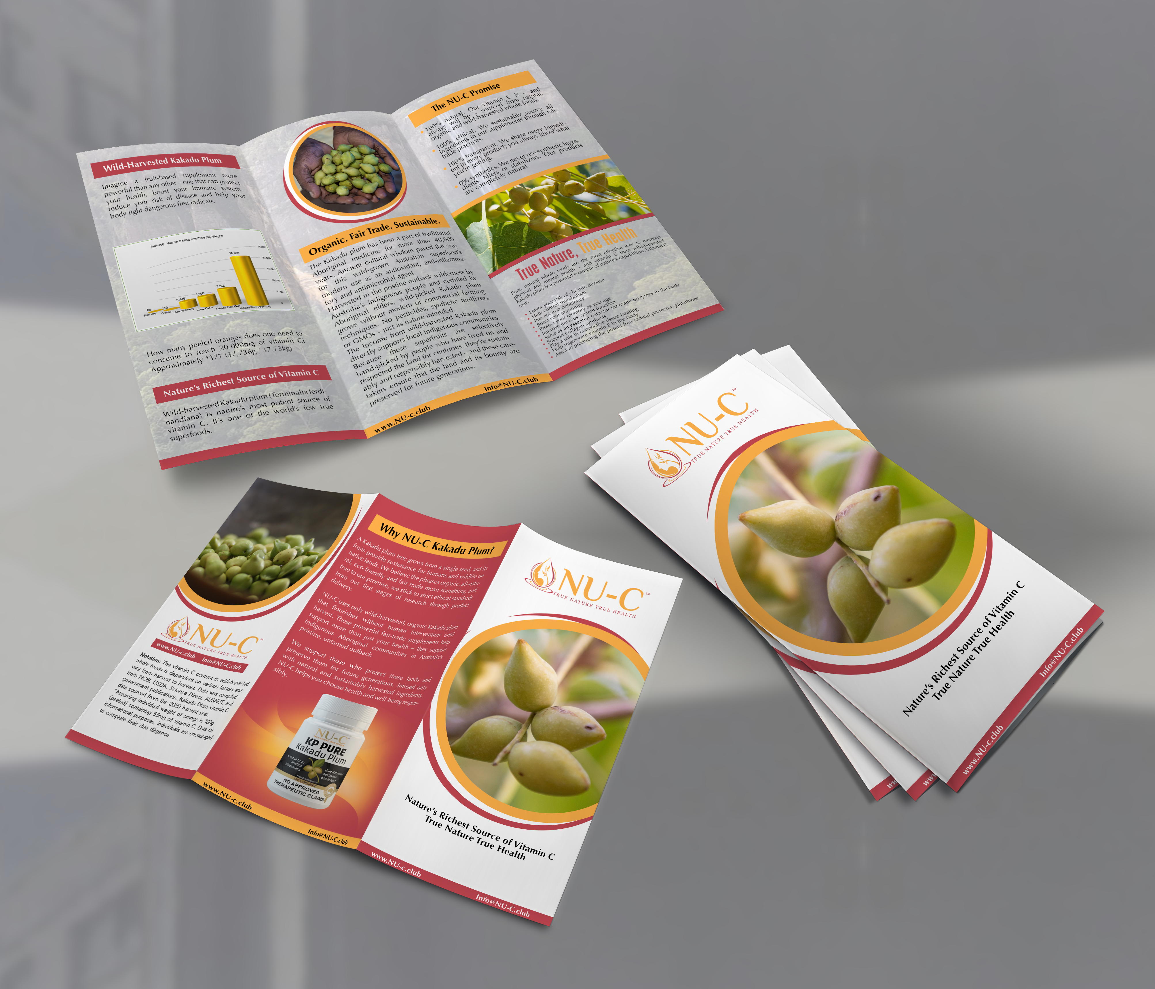 Flyer Design by Black Machine Grafx for Kakadu Health | Design #25676206