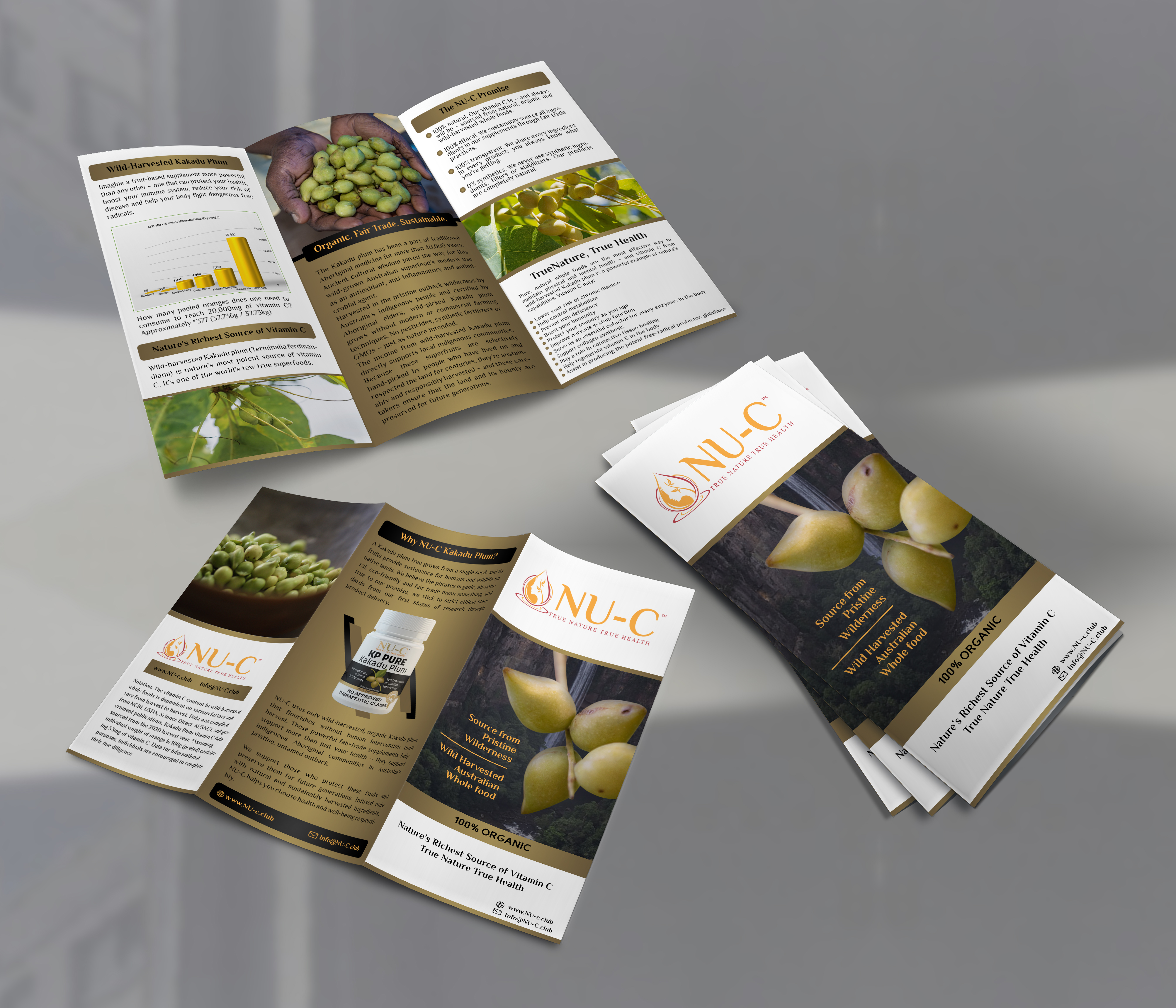 Flyer Design by Black Machine Grafx for Kakadu Health | Design #25692161