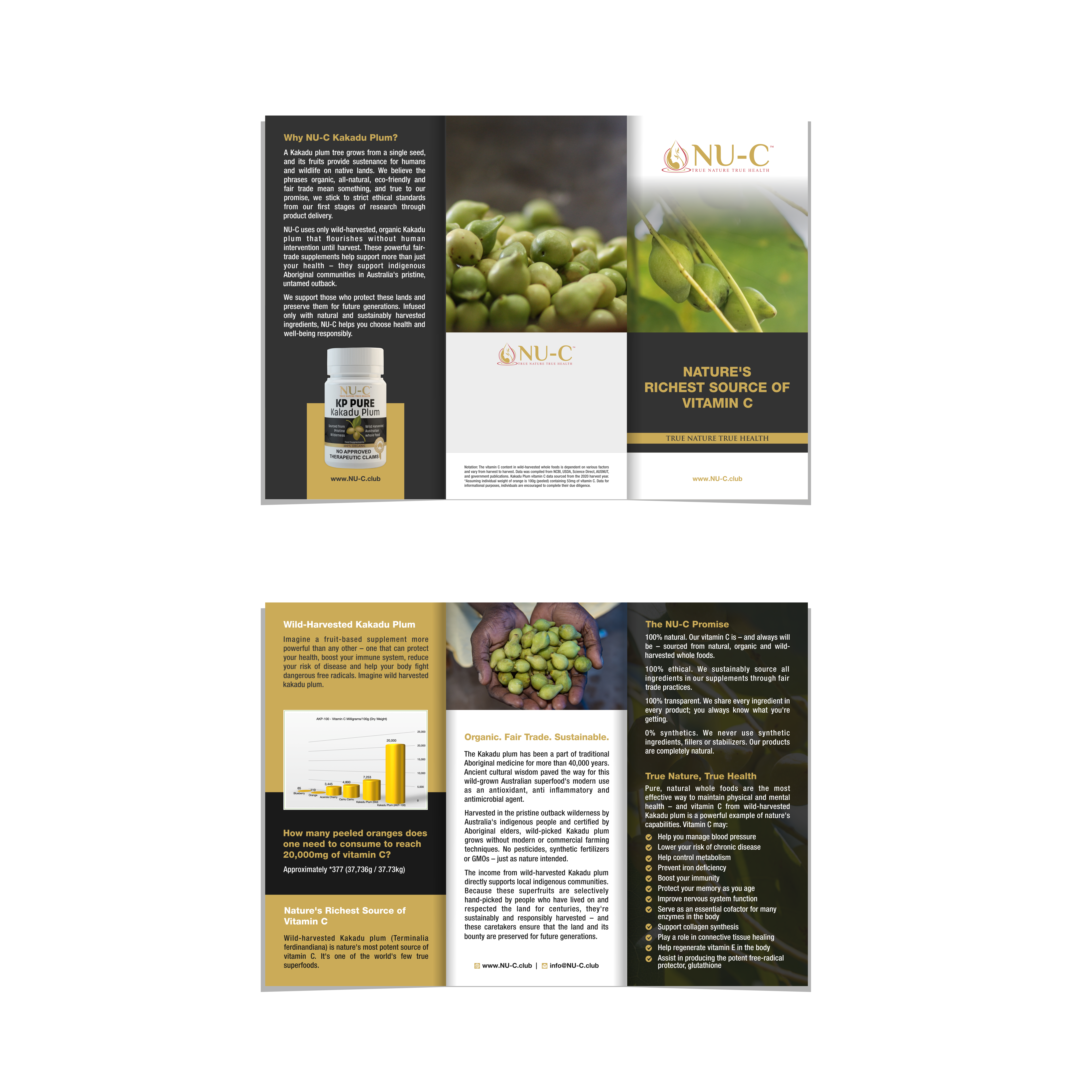 Flyer Design by Mayur Bhutada for Kakadu Health | Design #25712997