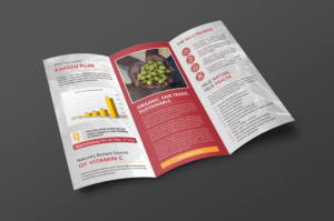 Design de Flyer par ecorokerz pour Kakadu Health | Design : #25679653