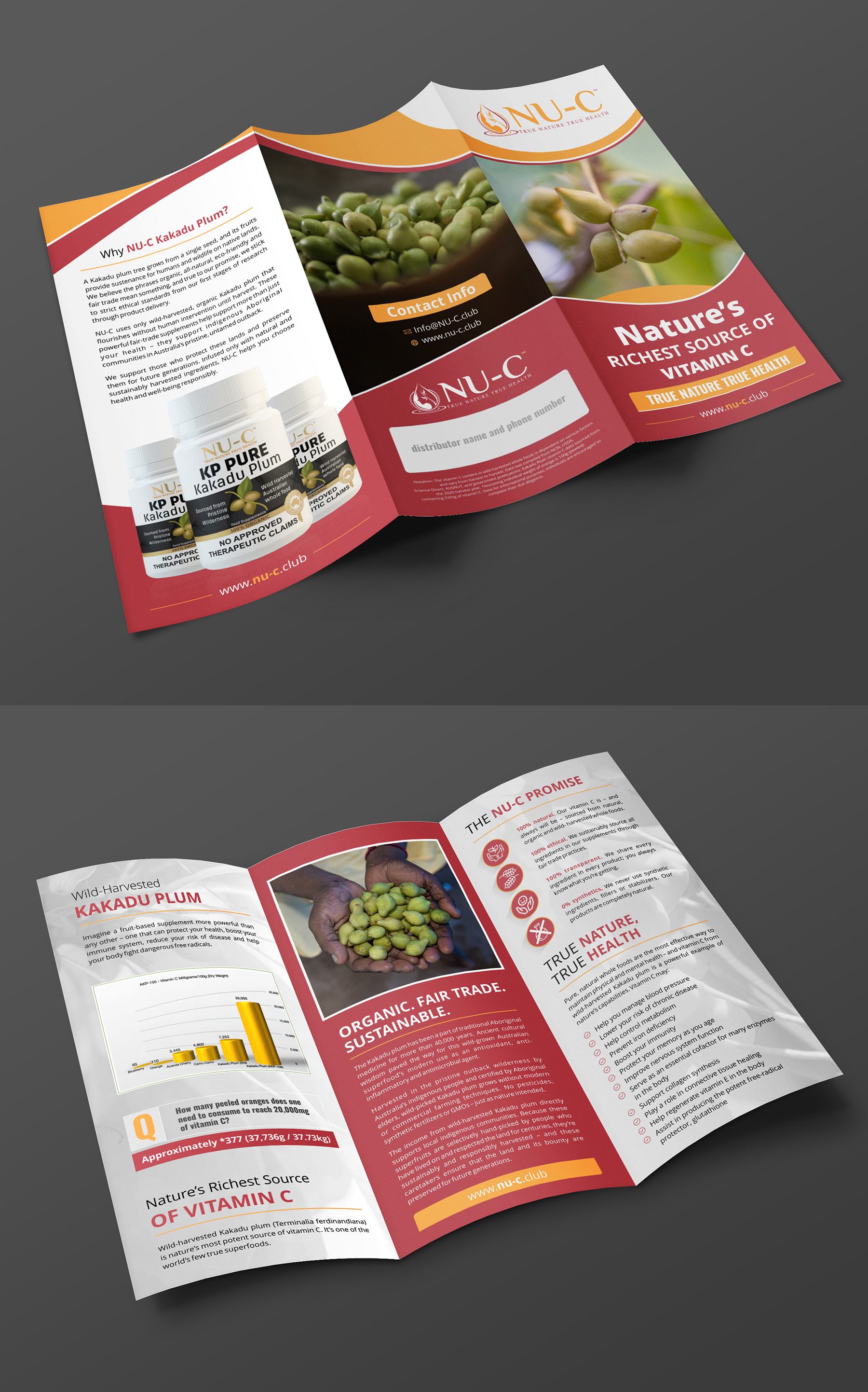 Flyer Design by ecorokerz for Kakadu Health | Design #25679654