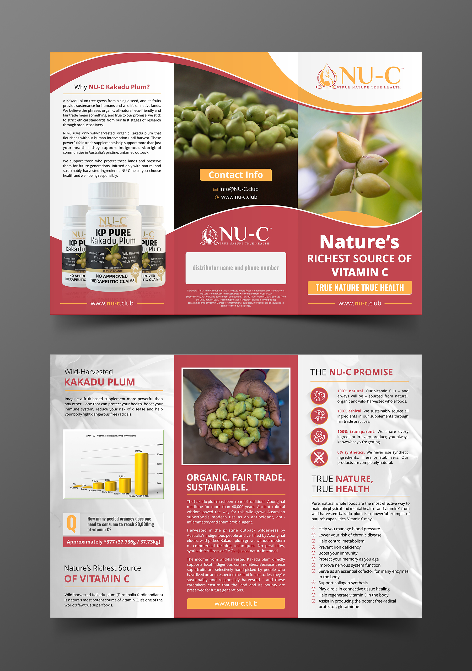 Flyer-Design von ecorokerz für Kakadu Health | Design #25679655