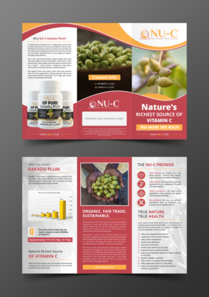 Design a tri-fold brochure for natural vitamin C business. | Diseño de Flyer por ecorokerz