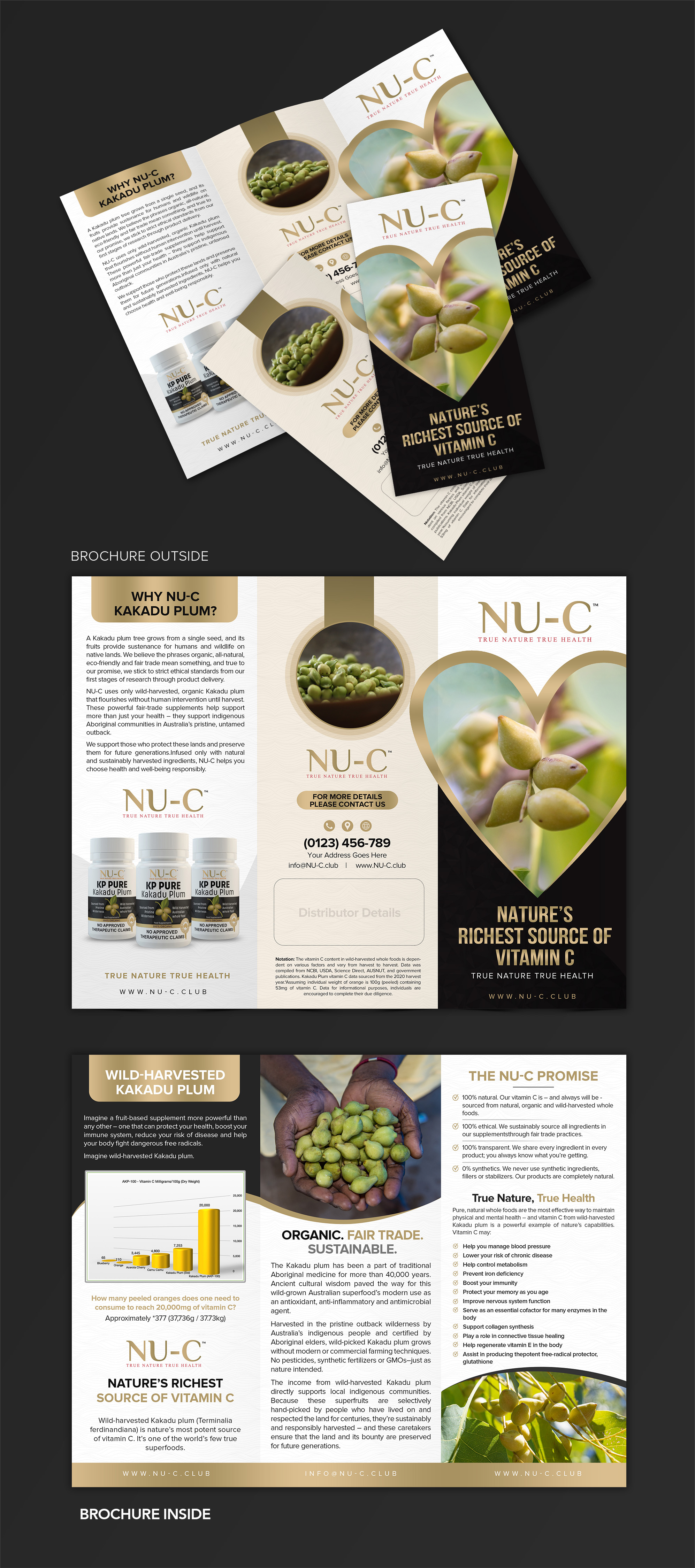Flyer Design by SAI DESIGNS for Kakadu Health | Design #25696052