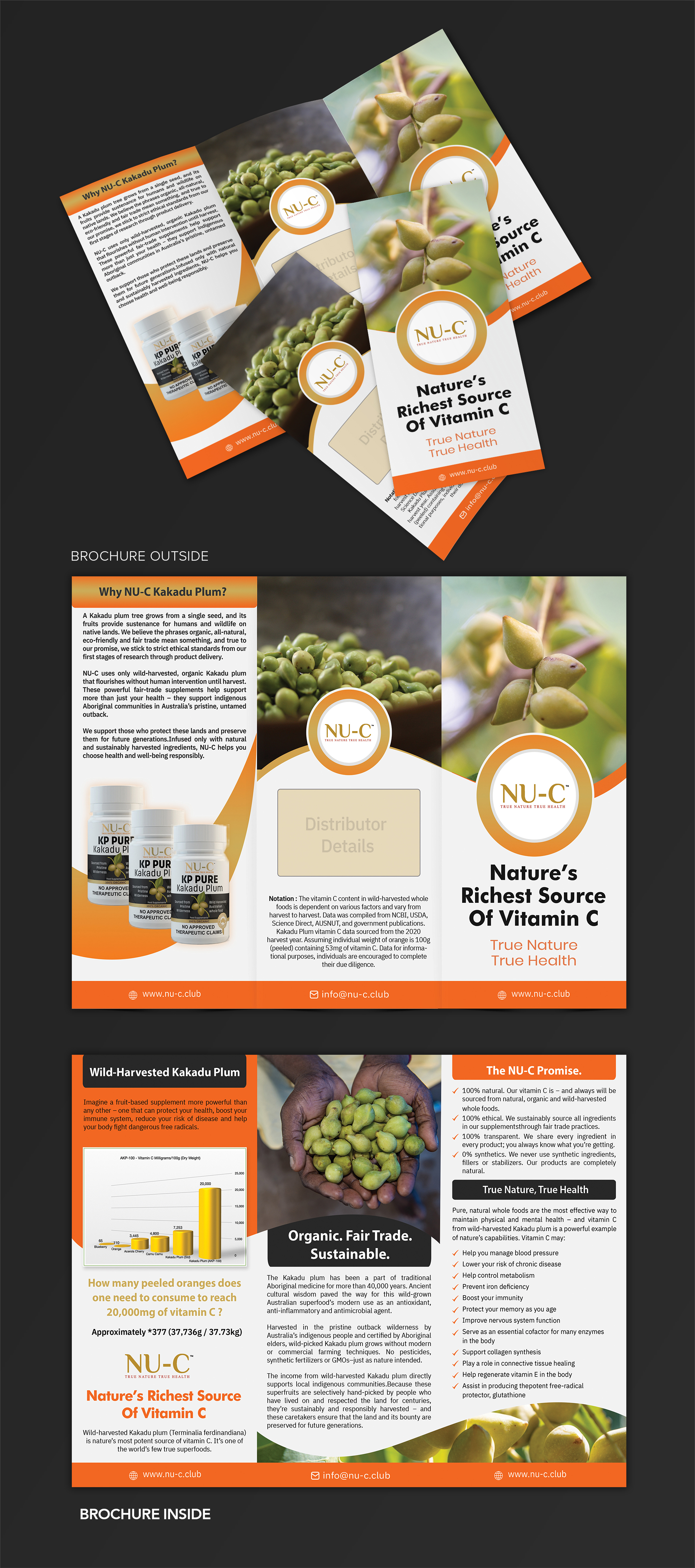 Flyer Design by SAI DESIGNS for Kakadu Health | Design #25696518