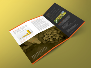 Design de Flyer par banedsgn pour Kakadu Health | Design : #25687068
