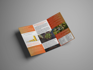 Design a tri-fold brochure for natural vitamin C business. | Diseño de Flyer por Skybluedesignstudio