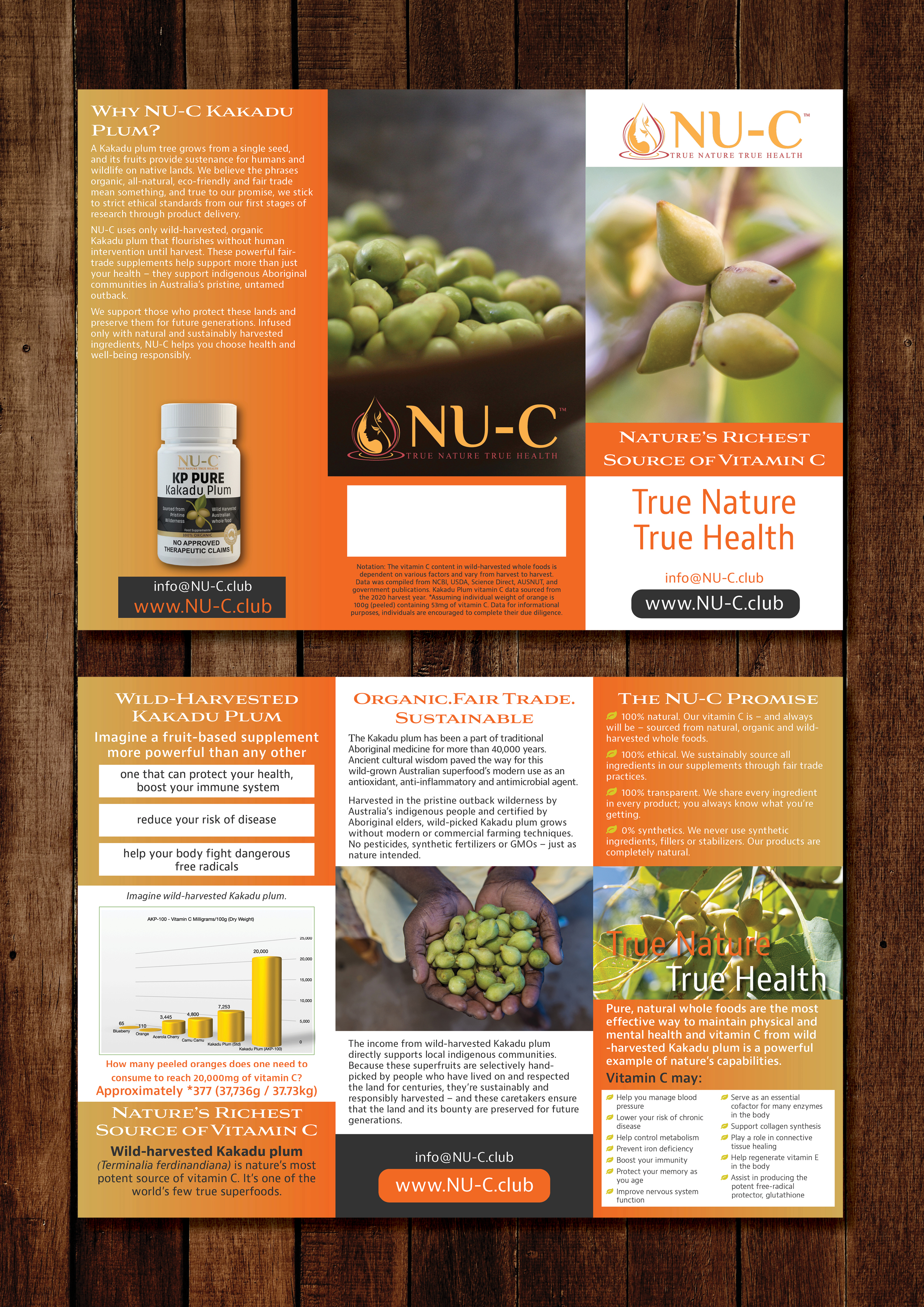 Design de Flyer par Skybluedesignstudio pour Kakadu Health | Design #25708341