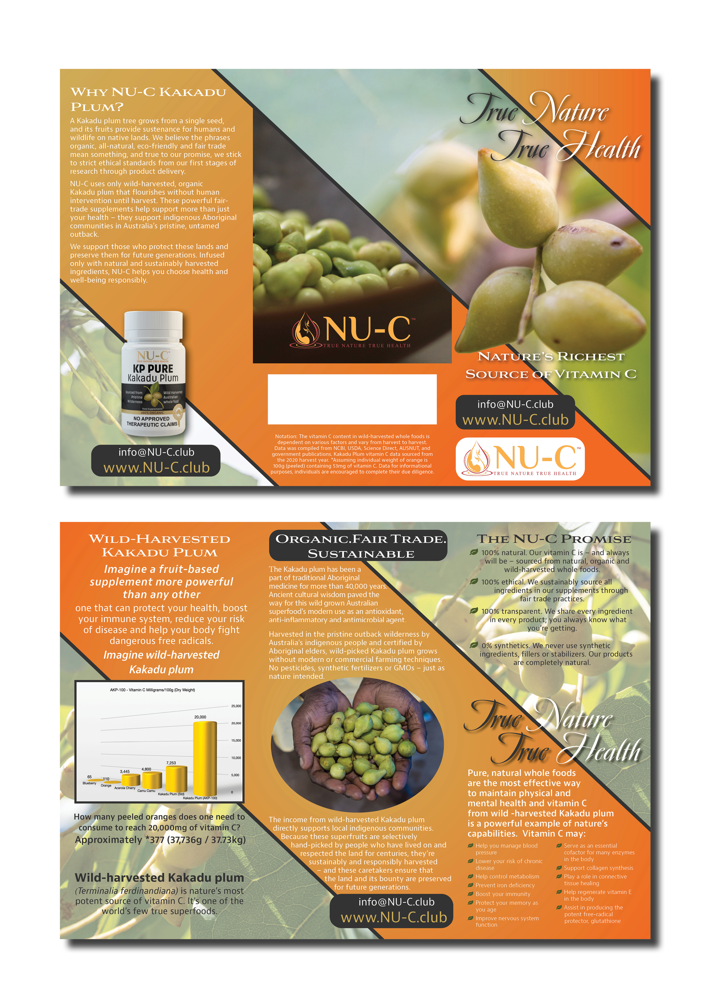 Flyer Design by Skybluedesignstudio for Kakadu Health | Design #25714818