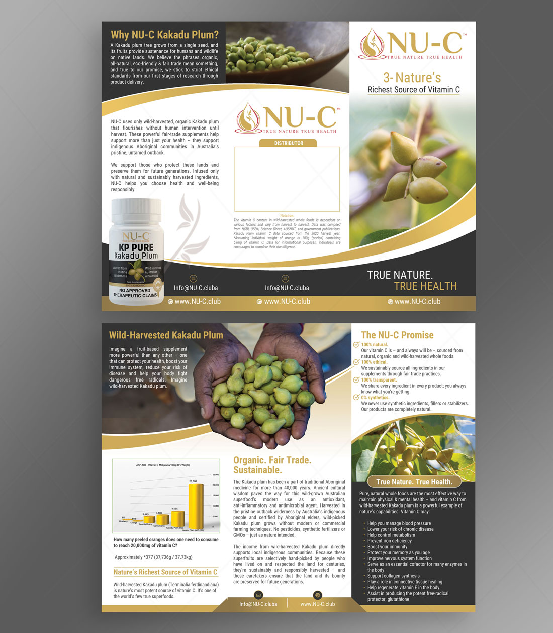 Diseño de Flyer por DA. para Kakadu Health | Diseño #25680772
