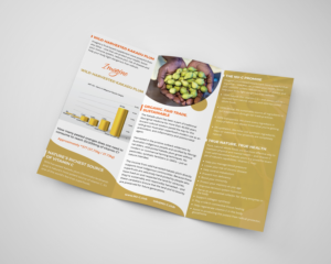 Design de Flyer par vmdesignhub pour Kakadu Health | Design : #25707474