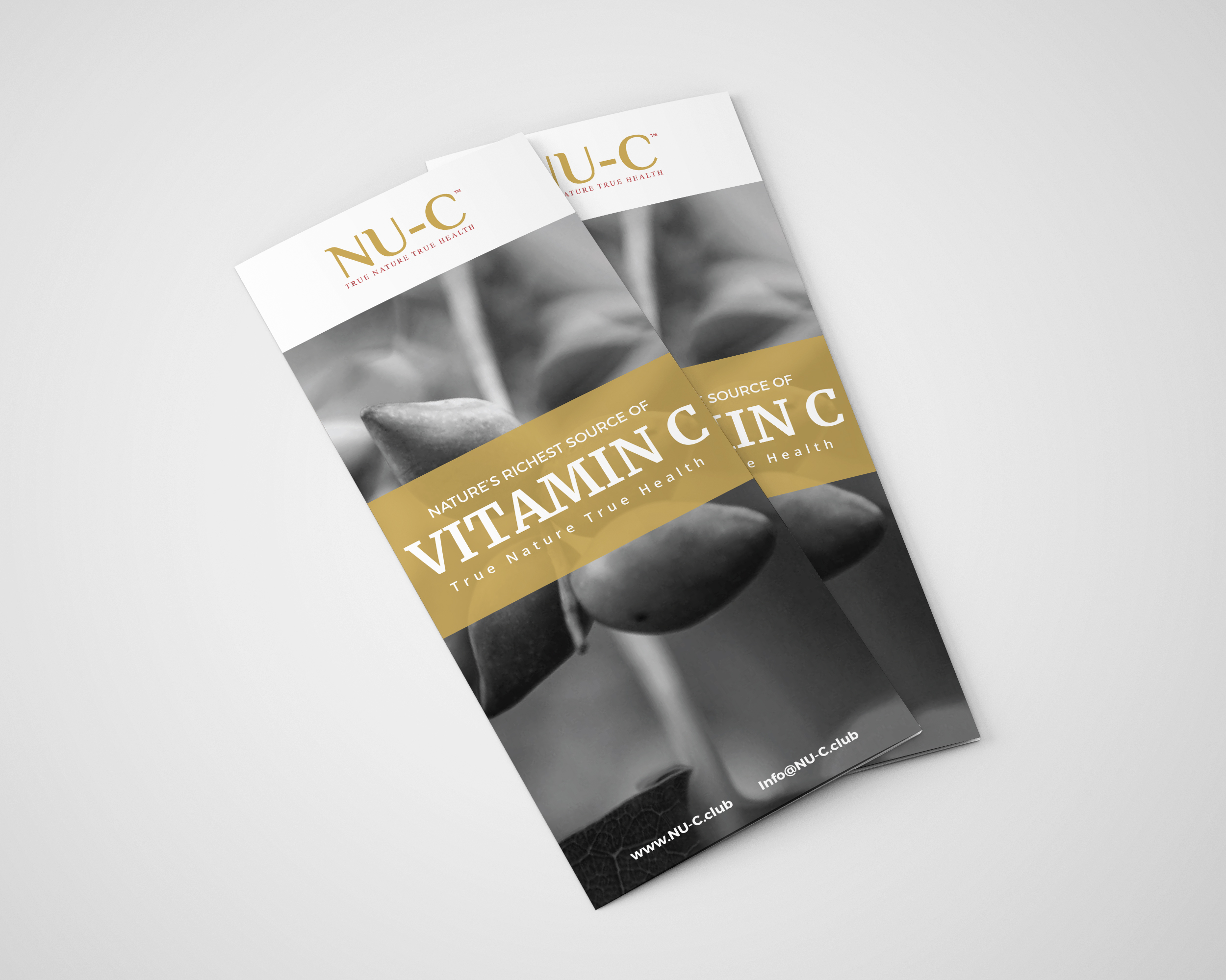 Flyer Design by vmdesignhub for Kakadu Health | Design #25707475