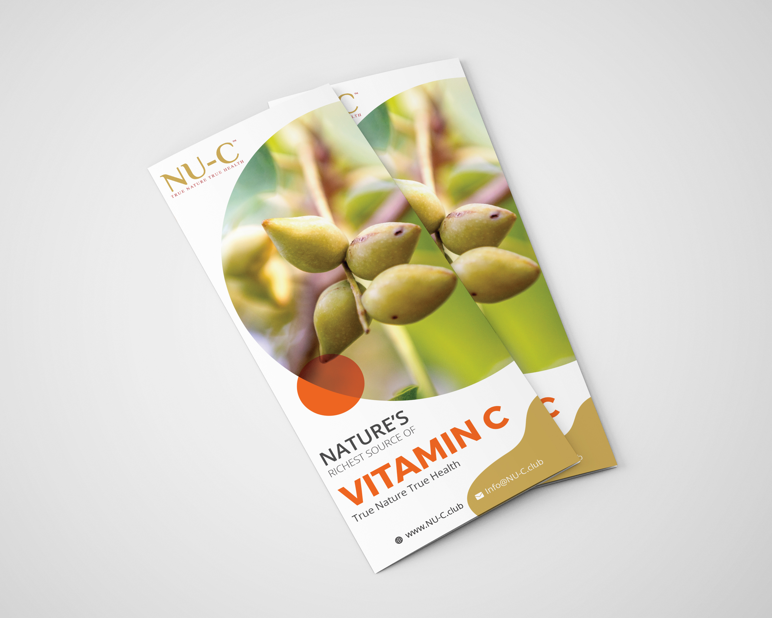 Diseño de Flyer por vmdesignhub para Kakadu Health | Diseño #25708653