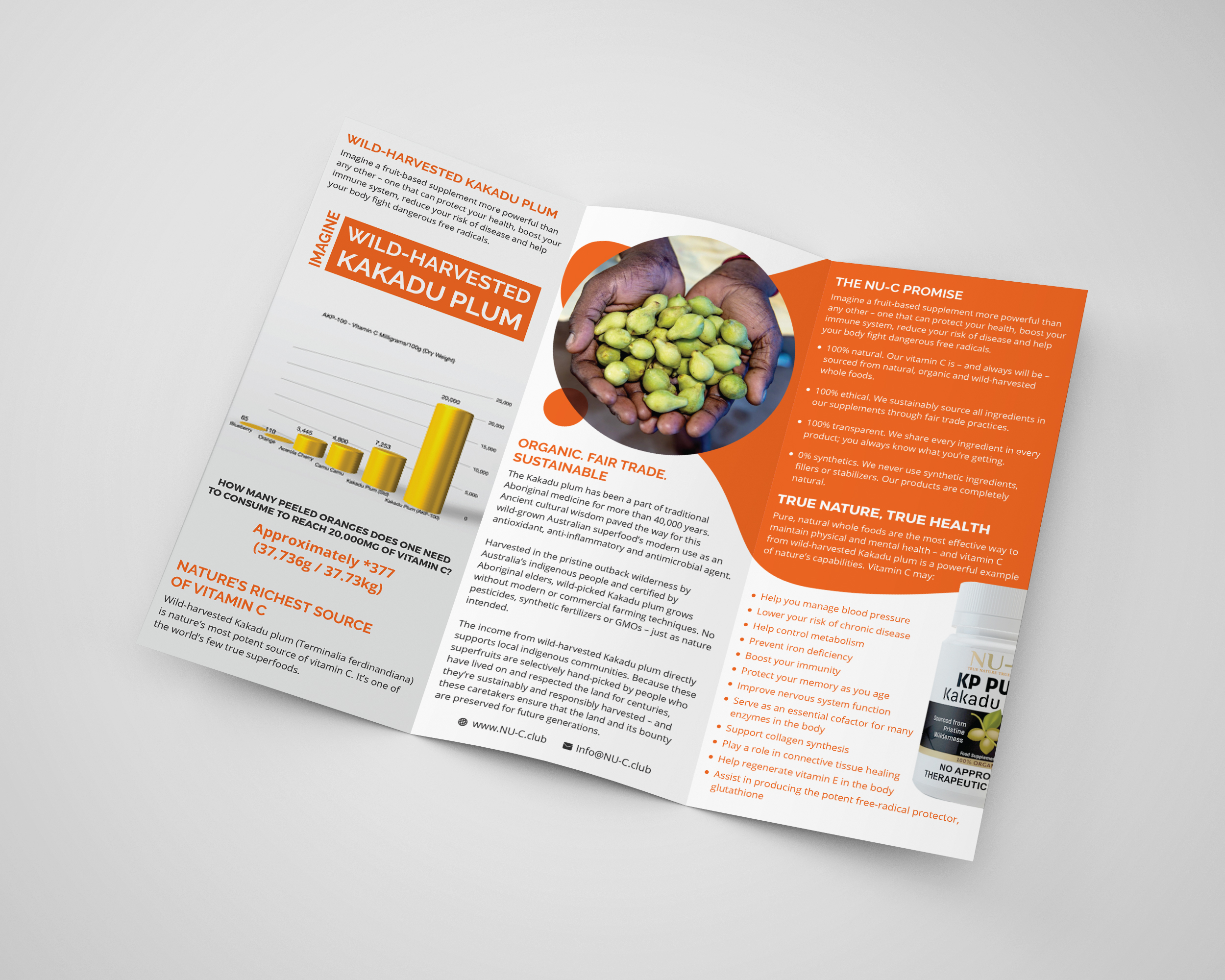 Flyer Design by vmdesignhub for Kakadu Health | Design #25708656