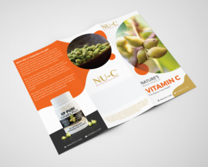 Design de Flyer par vmdesignhub pour Kakadu Health | Design : #25708657