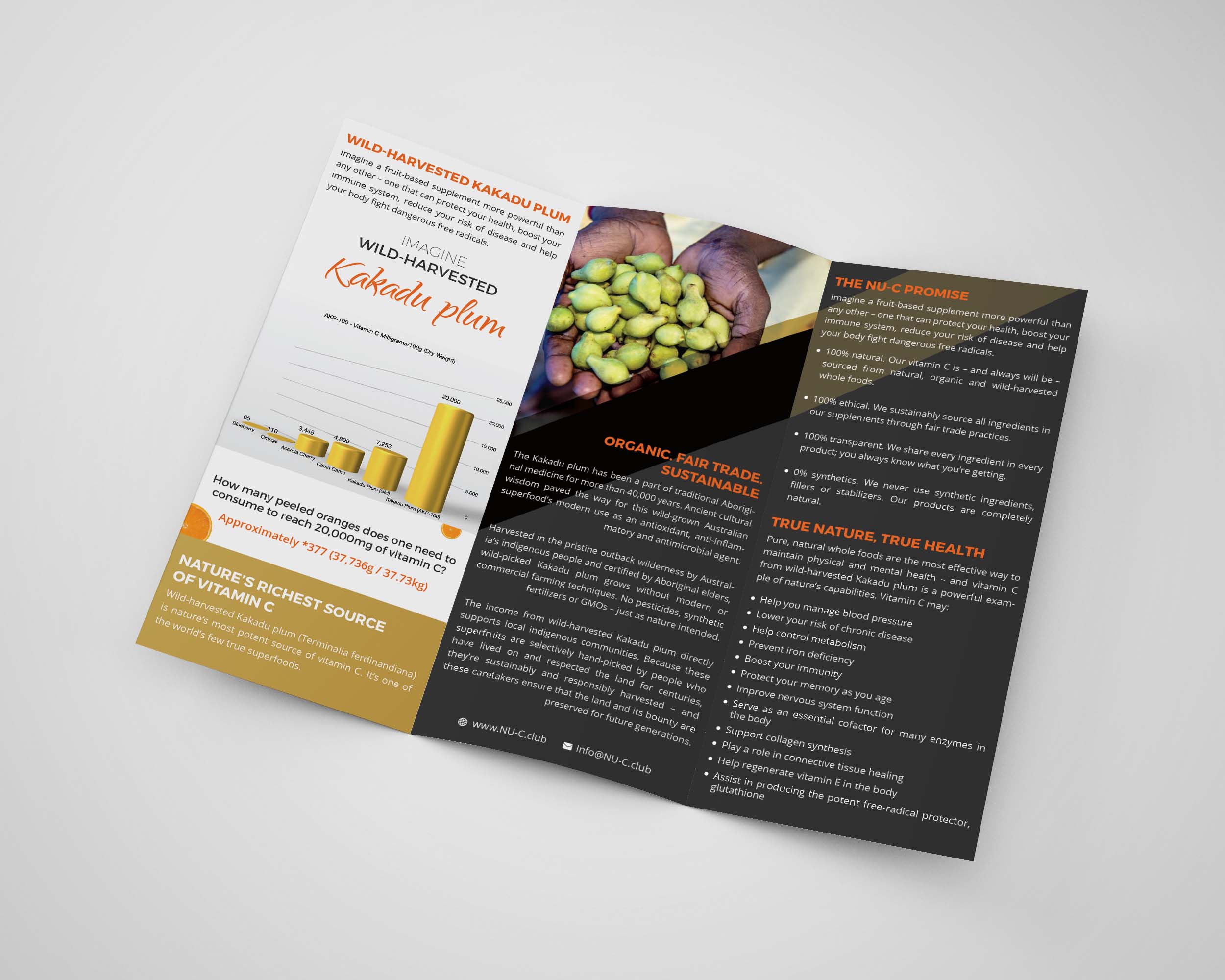 Flyer Design by vmdesignhub for Kakadu Health | Design #25712961