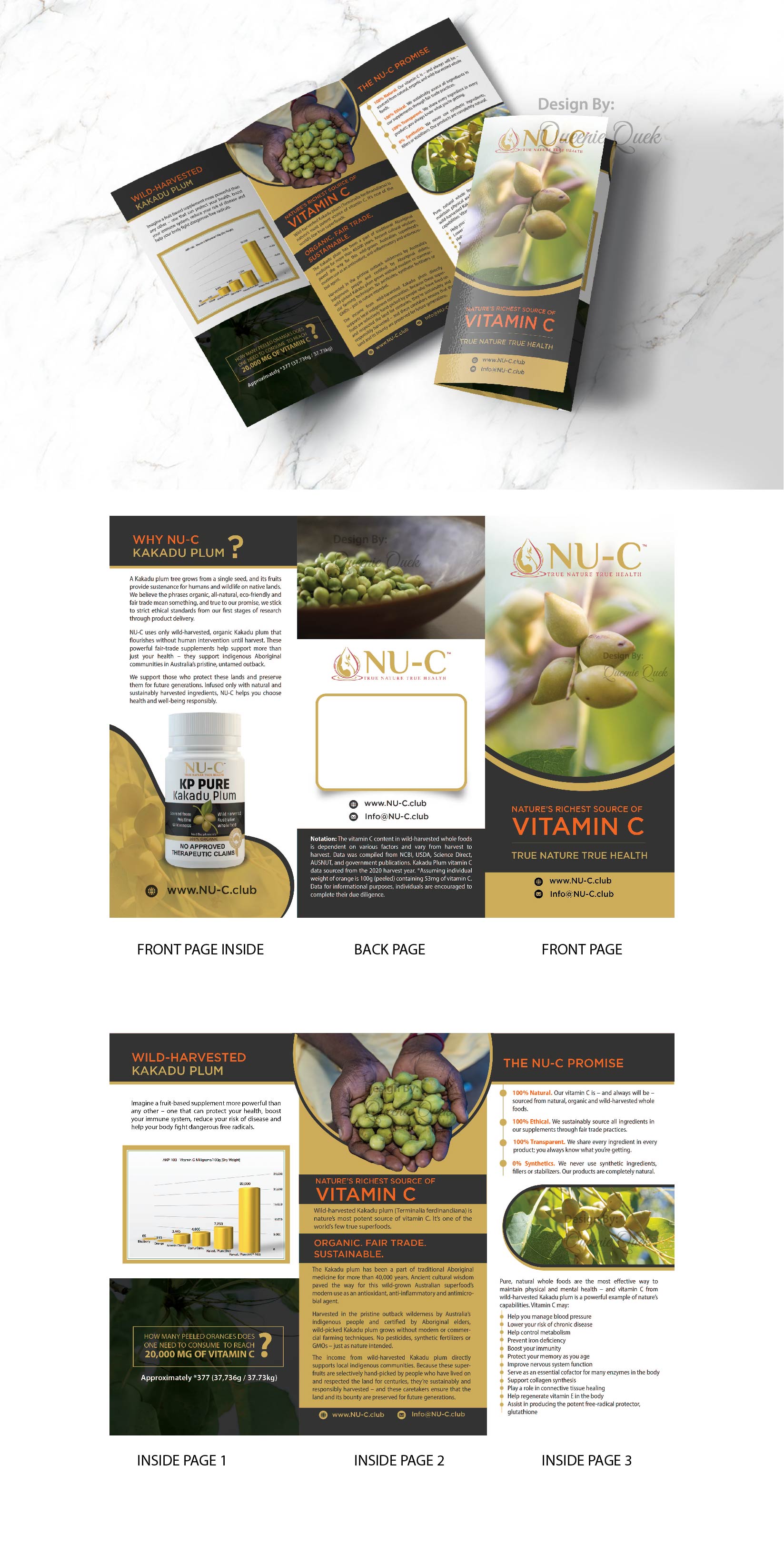 Design de Flyer par Queenie Quek pour Kakadu Health | Design #25691295