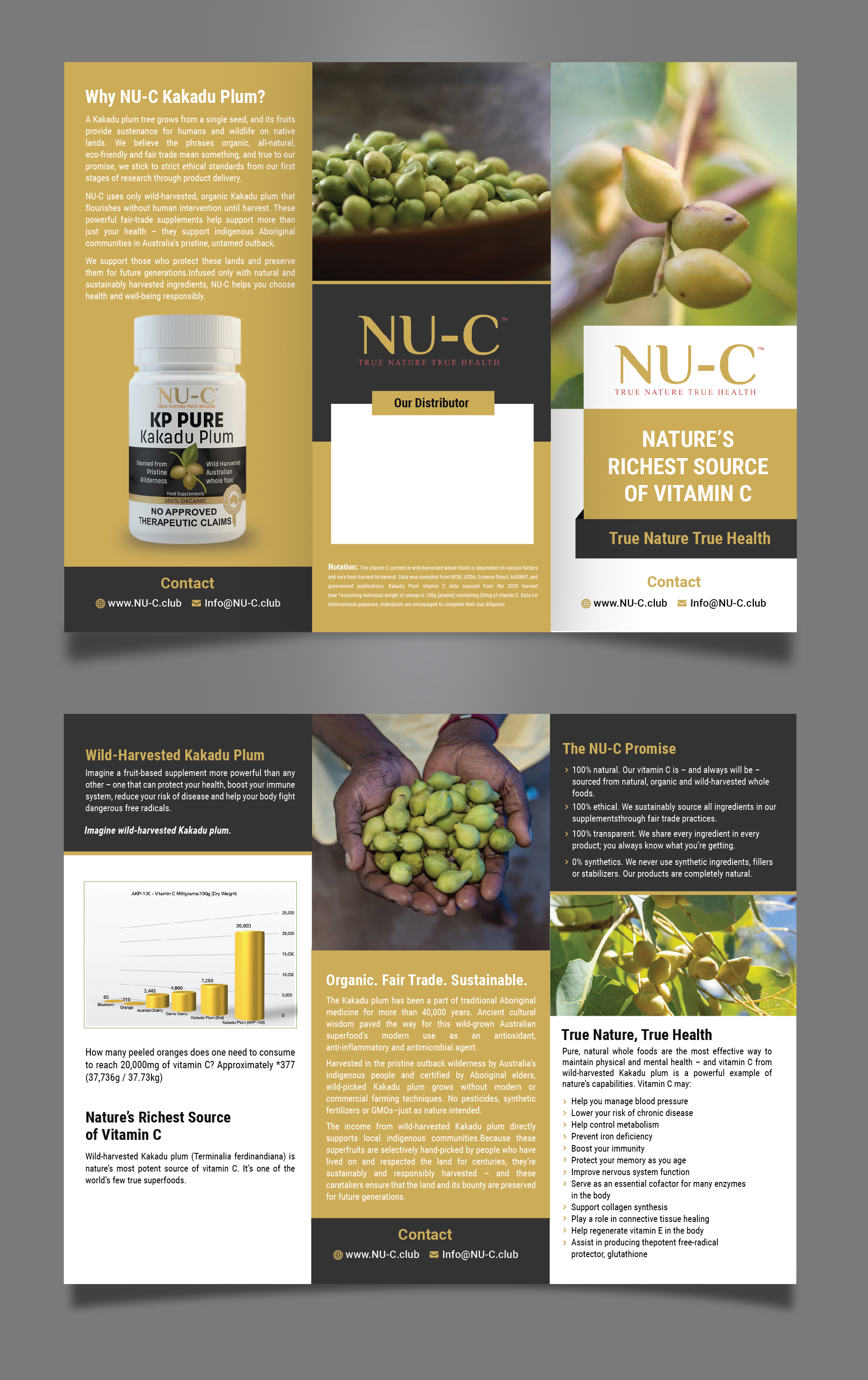 Flyer Design by Gangadhar Jena for Kakadu Health | Design #25704064