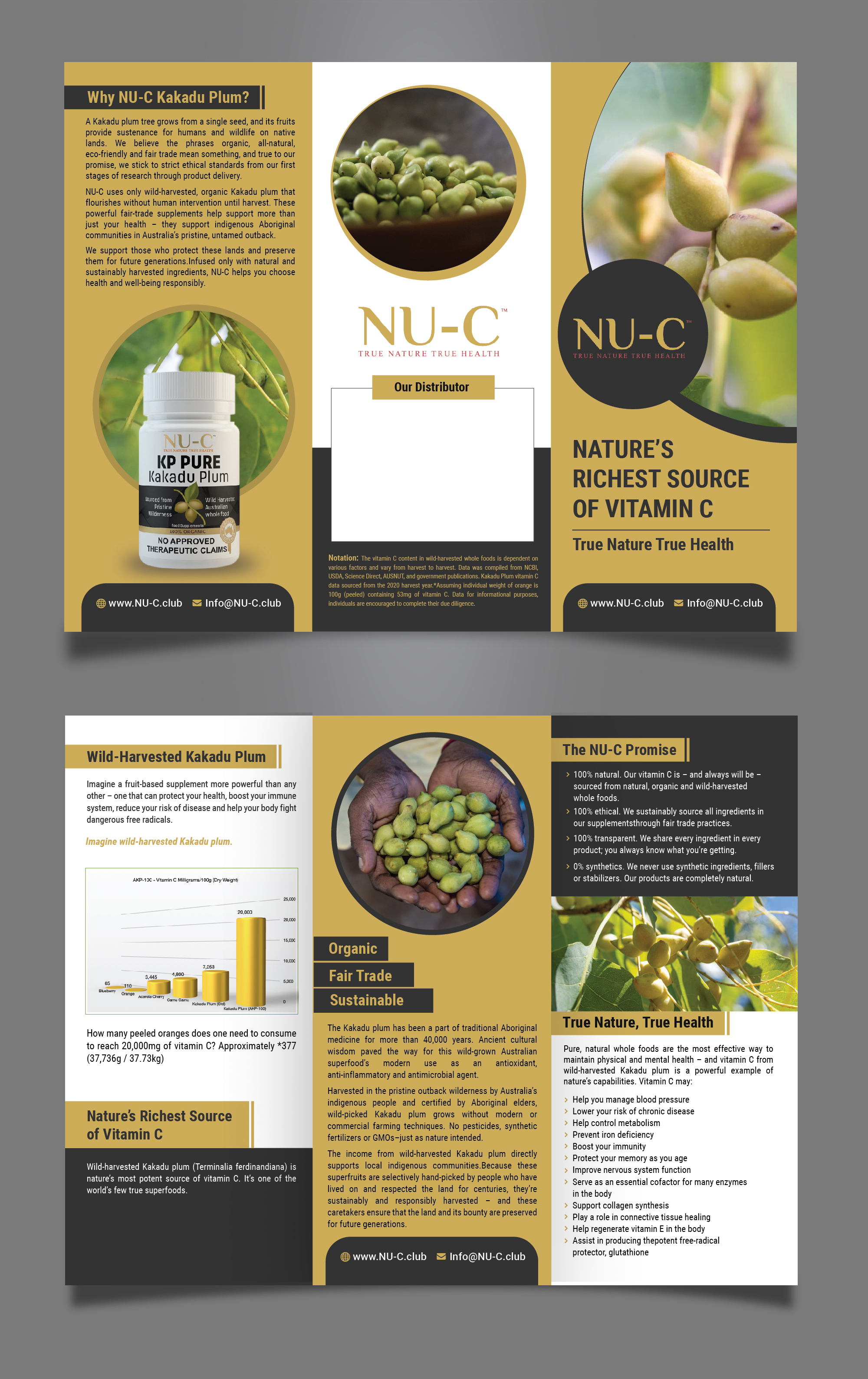 Flyer Design by Gangadhar Jena for Kakadu Health | Design #25704077