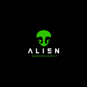 Logo Design by LazyArt