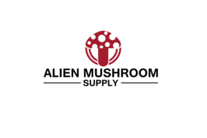 Logo Design by MD JAKE 2