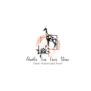 Logo Design by cristina.basoiu 2