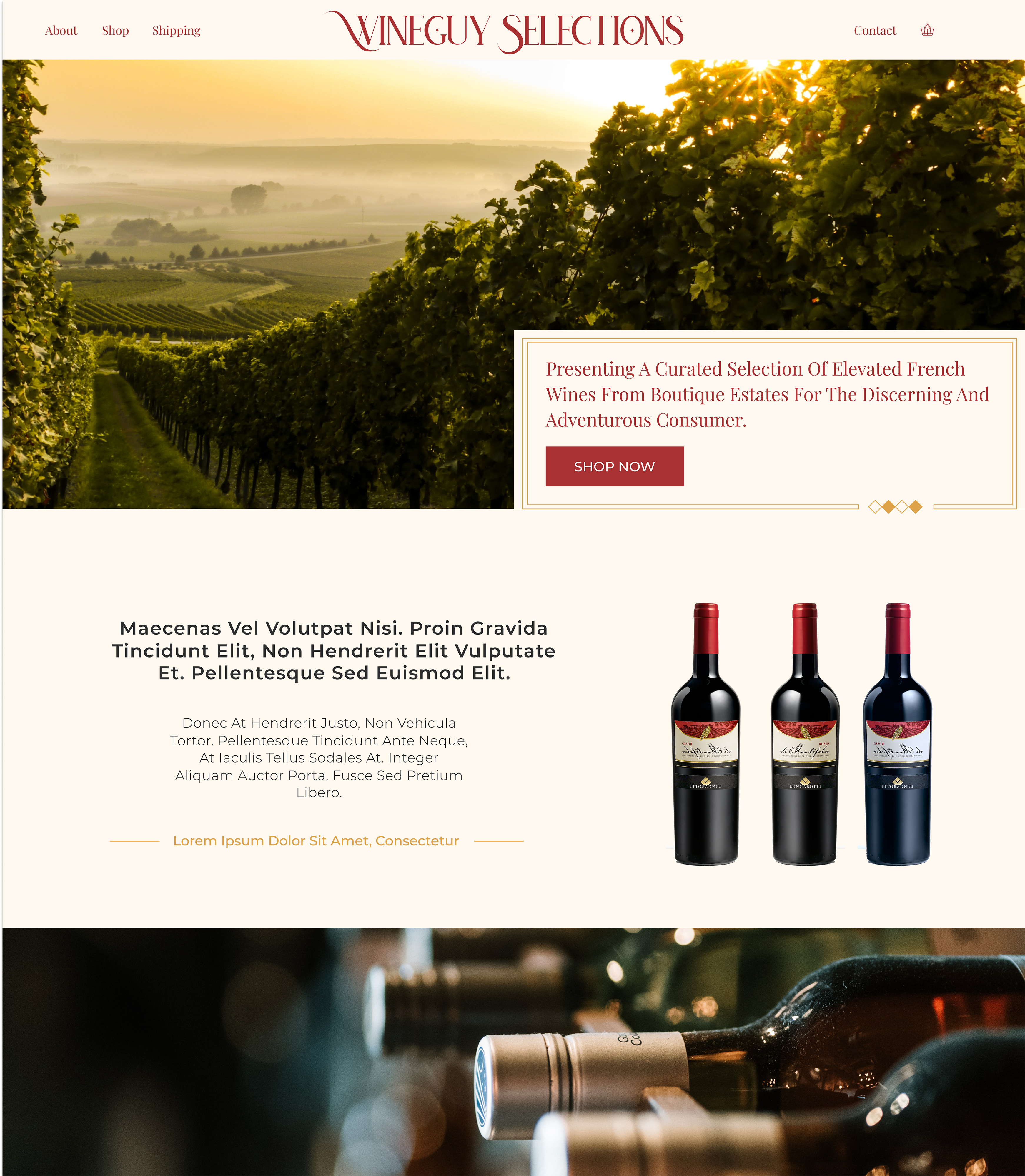 Web Design by Katherine_ for WineGuy Selections | Design #25850844