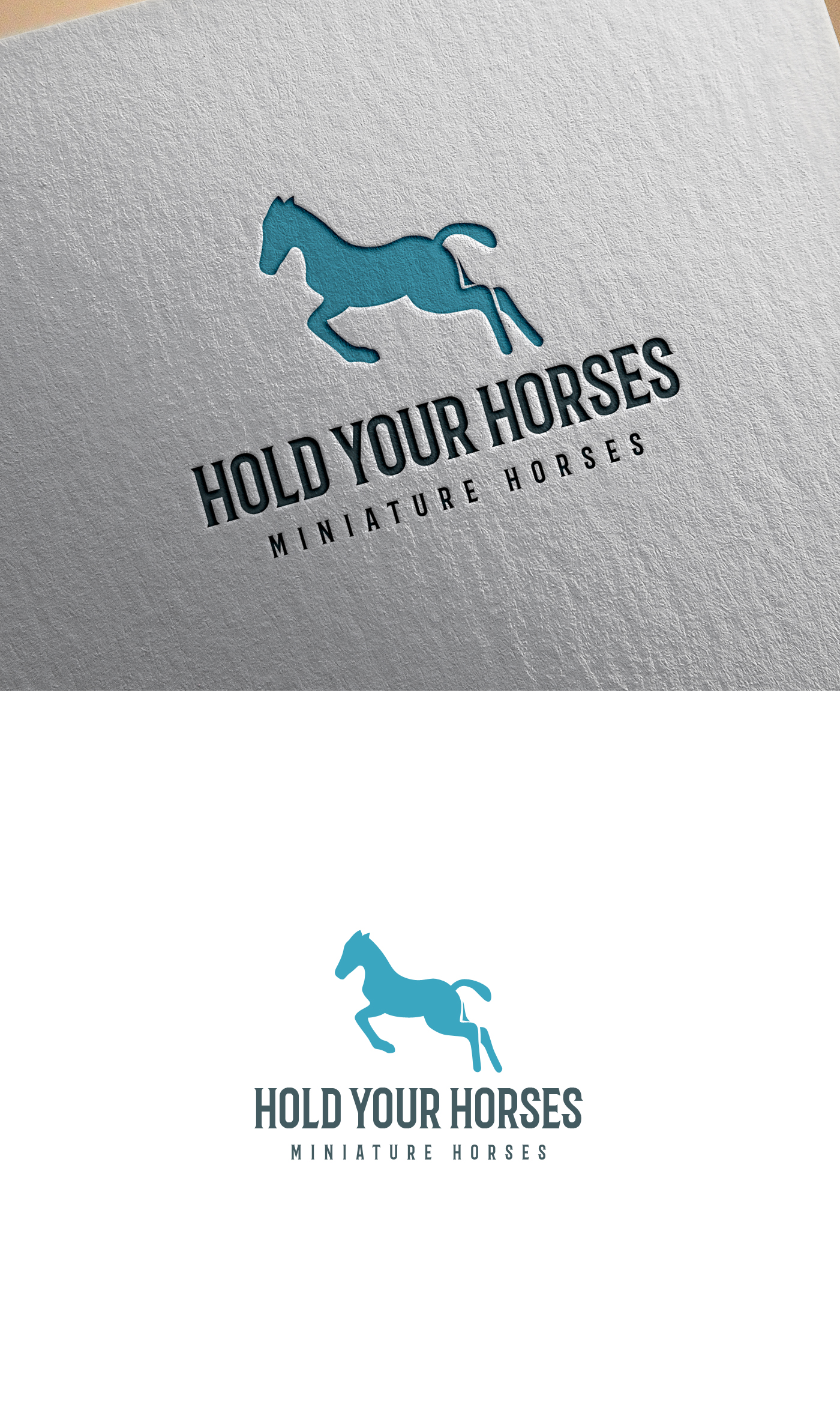Diseño de Logo por logo_s para este proyecto | Diseño #25689939
