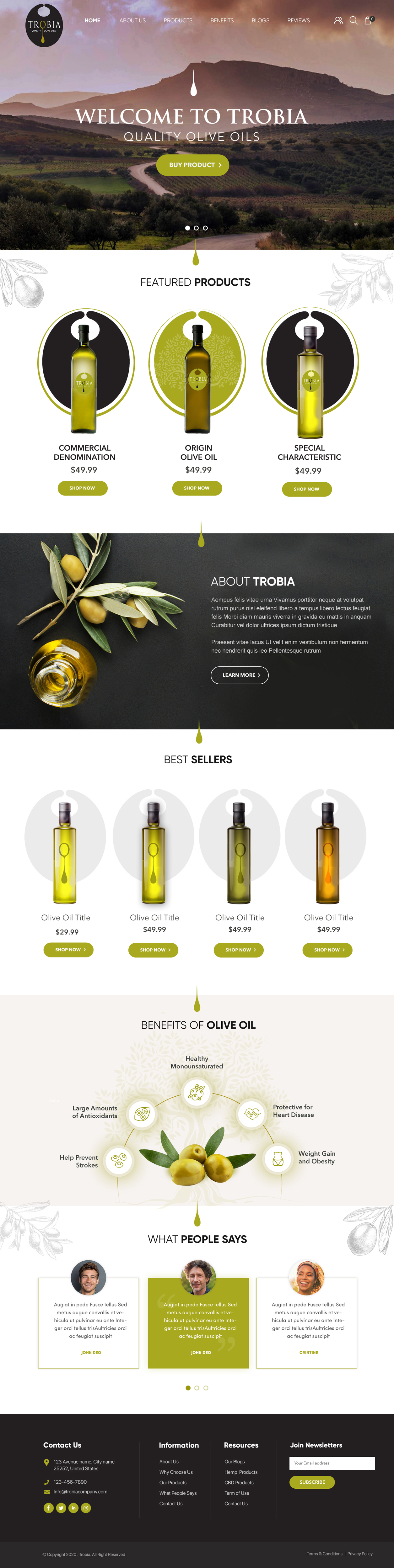 Diseño Web por Blue Sparrow para este proyecto | Diseño #25709966