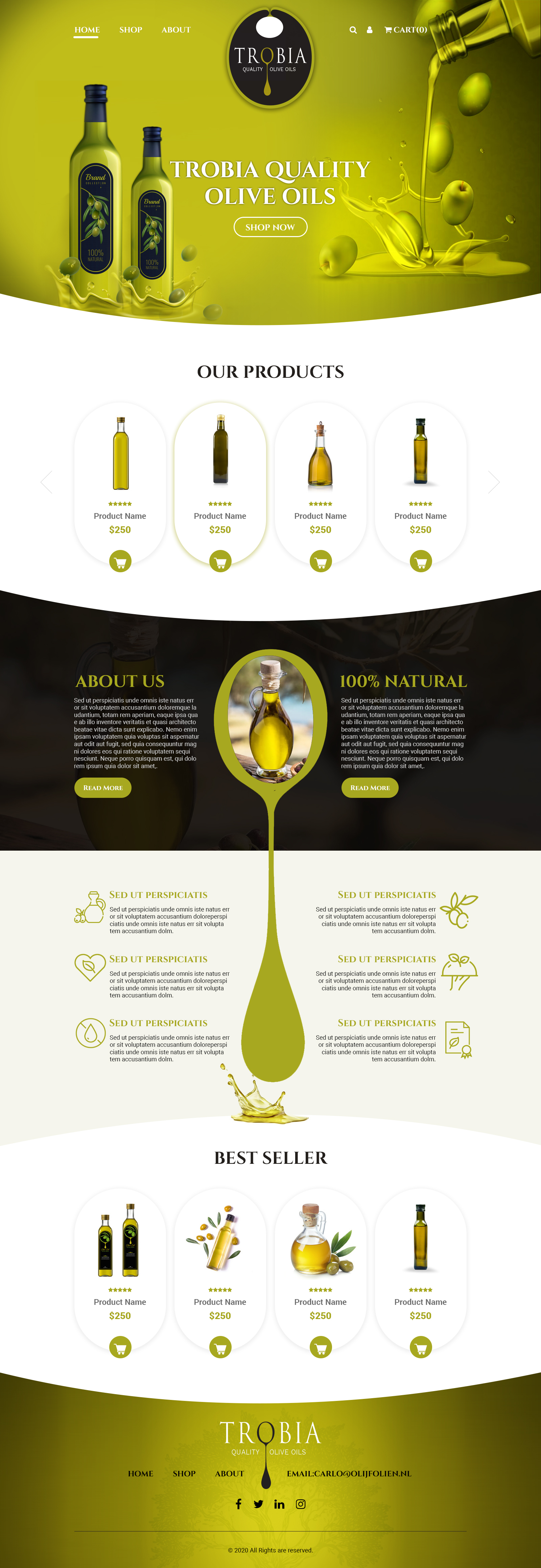 Web Design by MAHABA for this project | Design #25718337