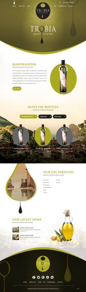 Web Design par pb pour ce projet | Design : #25710236