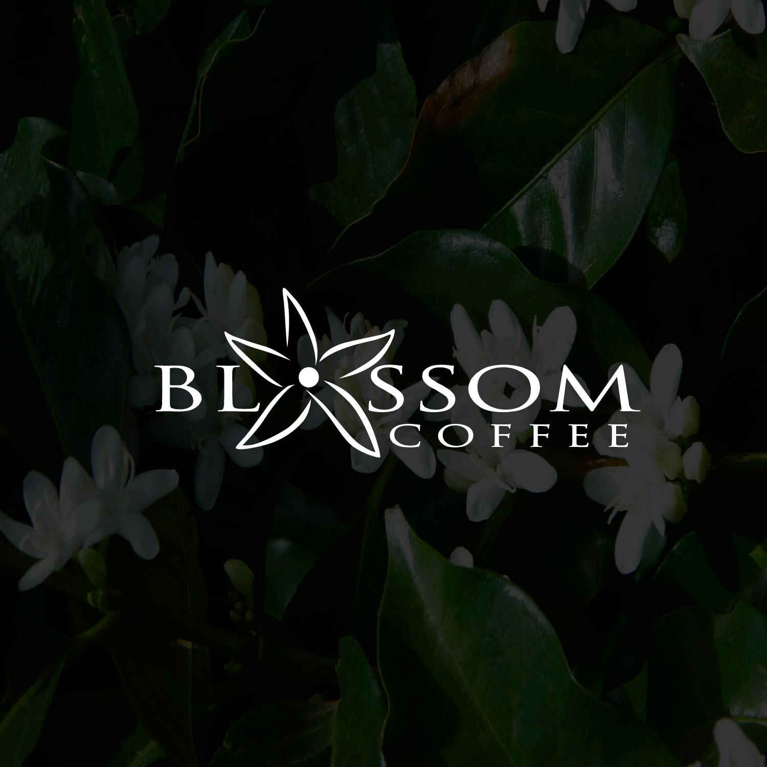 Logo Design by FourtuneDesign for Cerrado Coffee Traders | Design #25710107