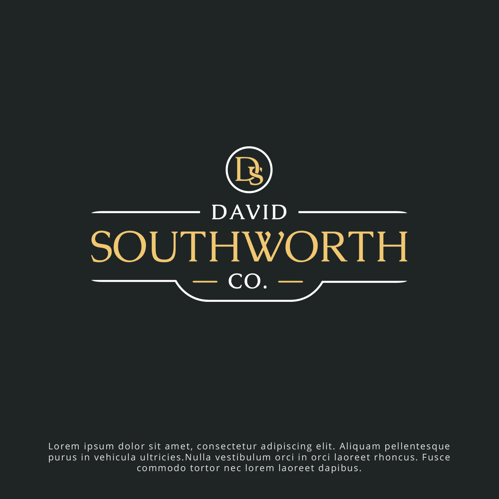 Logo Design by Aryodesigns for Southworth Development | Design #25726874