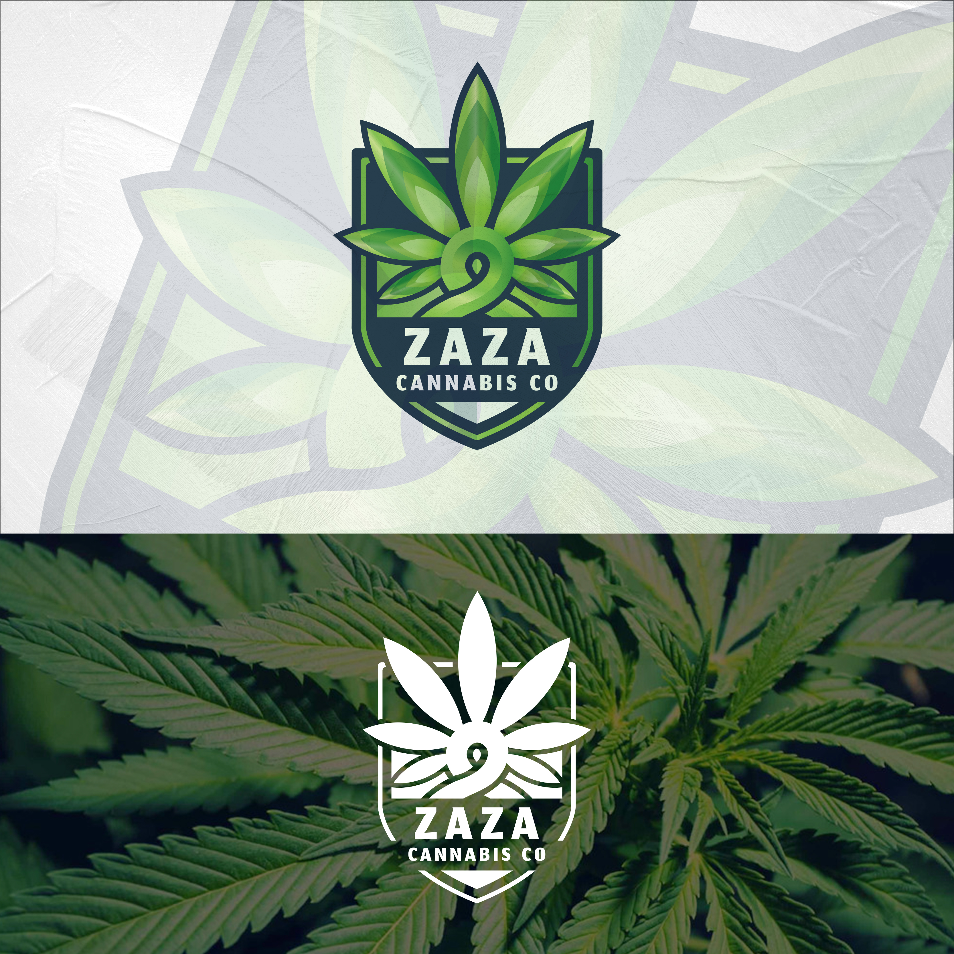 Logo Design by EYESIGHT Design &amp; Illustration for this project | Design #25705691