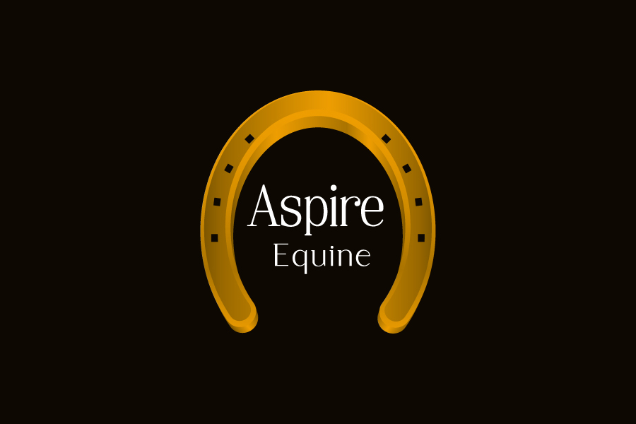 Logo Design by Dzine Shop for this project | Design #25709983