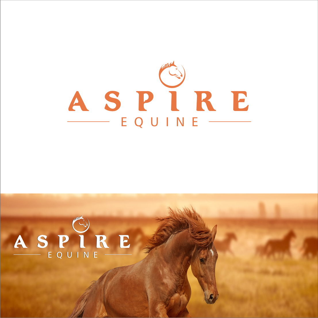 Logo Design by DesignM for this project | Design #25712599