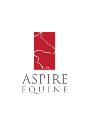 Aspire Equine | Logo Design by DoMadic