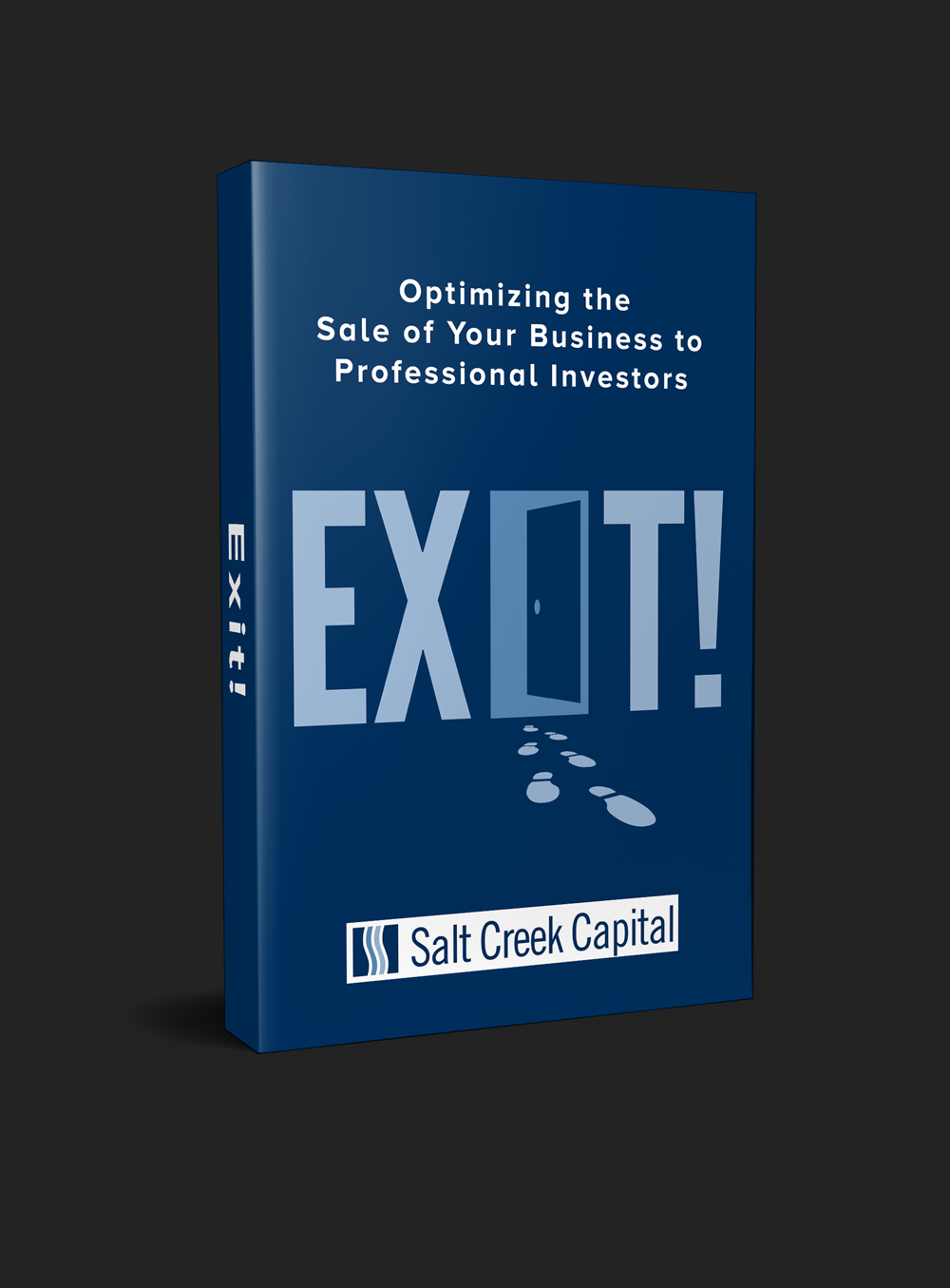 Book Cover Design by RedNinja for this project | Design #25729667