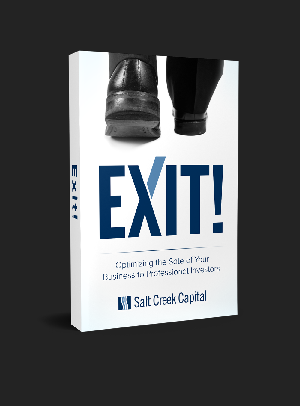 Book Cover Design by RedNinja for this project | Design #25729709