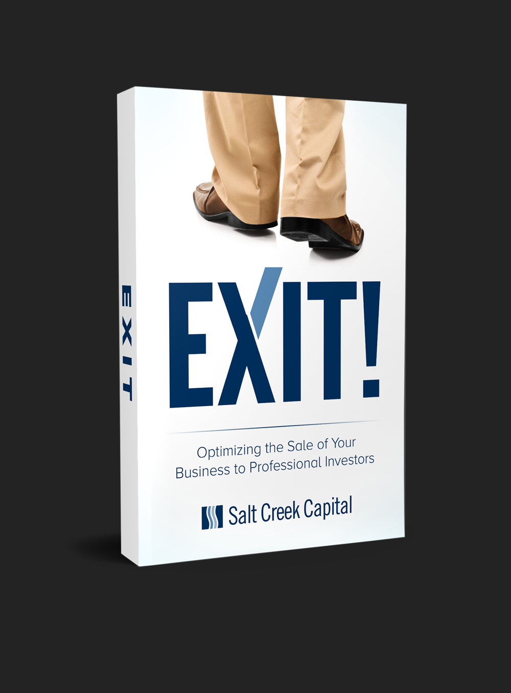 Book Cover Design by RedNinja for this project | Design #25753574