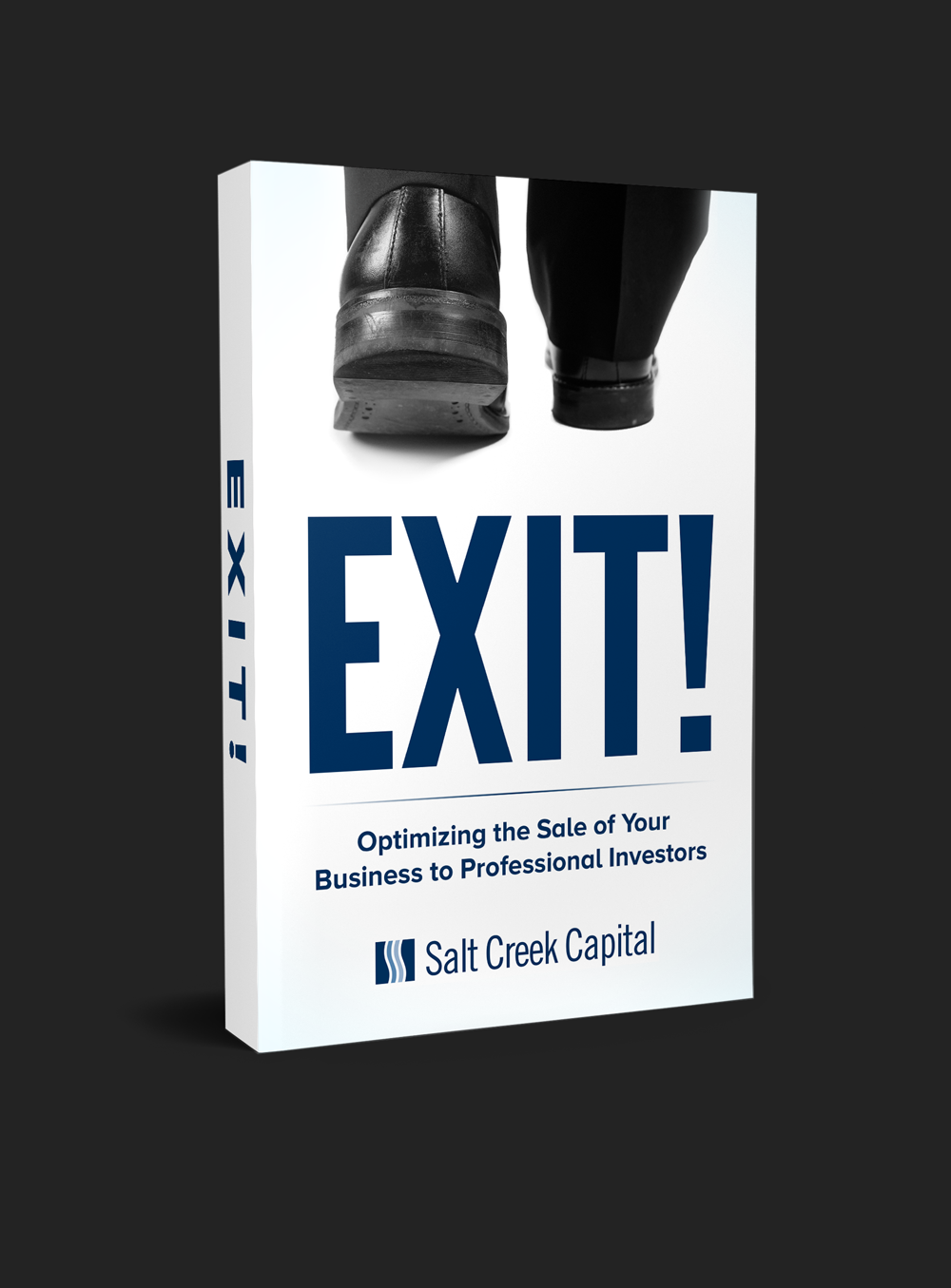 Book Cover Design by RedNinja for this project | Design #25880481