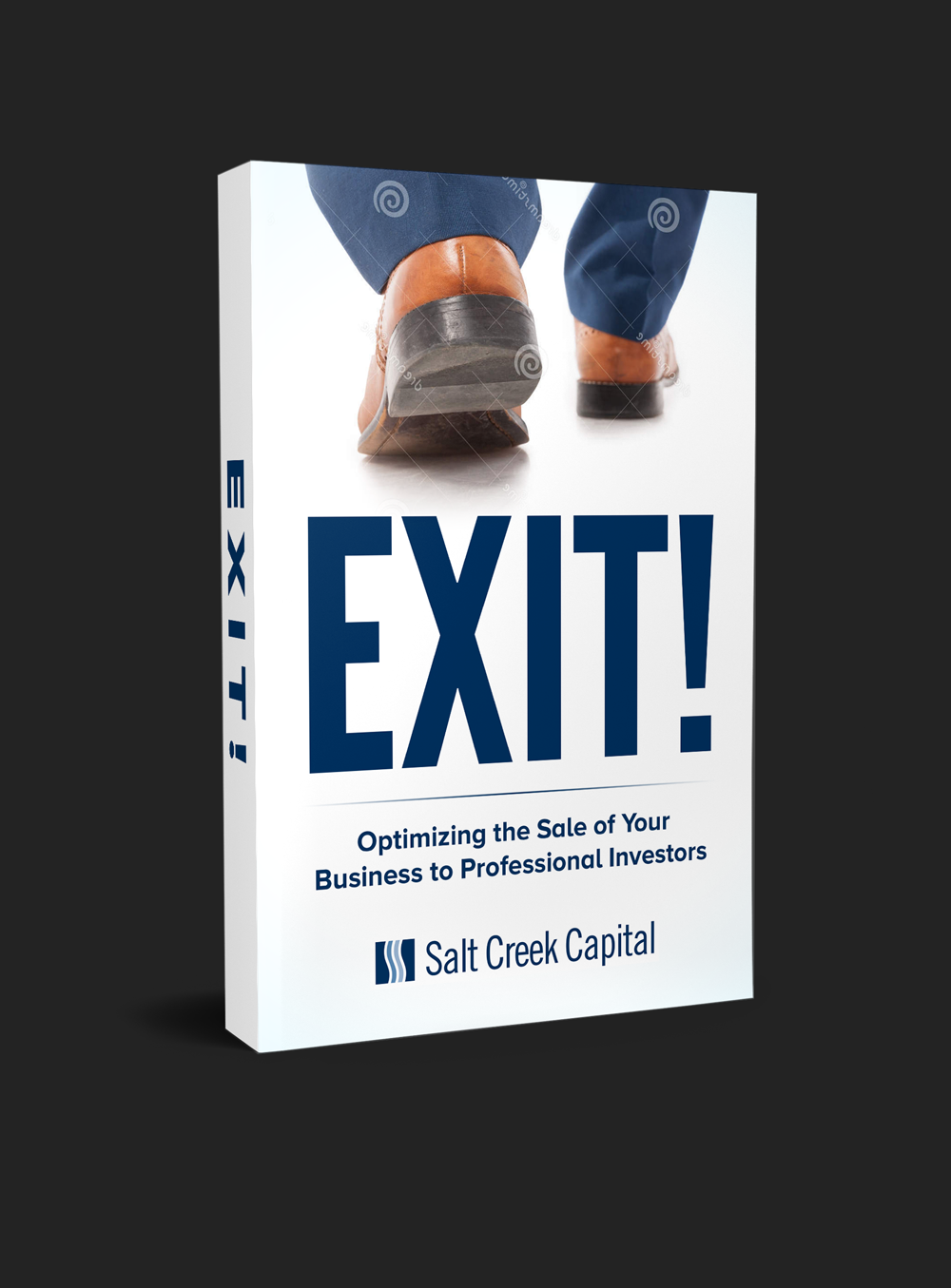 Book Cover Design by RedNinja for this project | Design #25880506