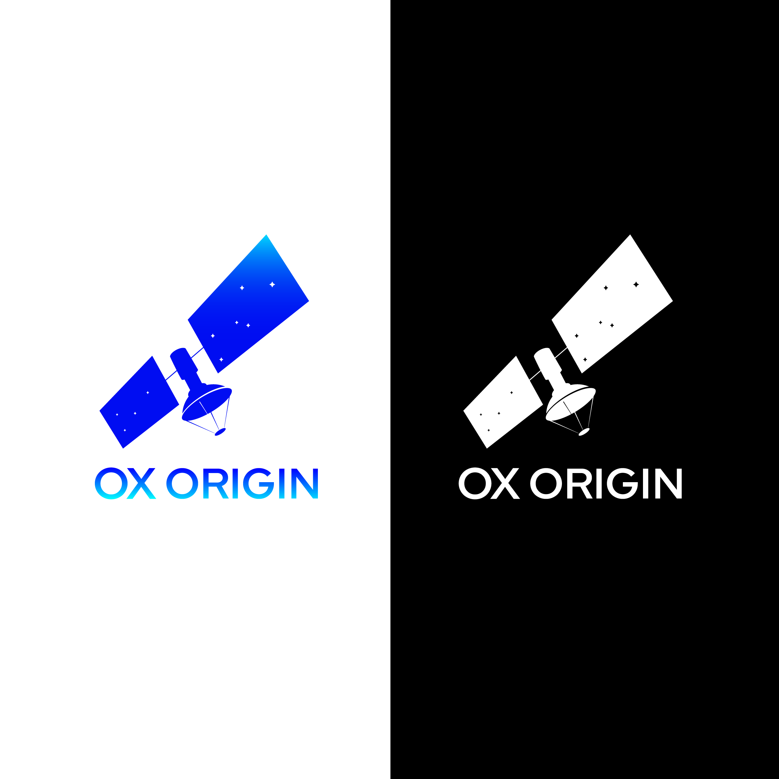 Logo Design by aswin.ajp for this project | Design #25726413