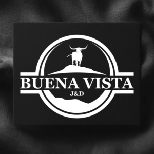 Buena Vista | Logo Design by Gerald Design 3