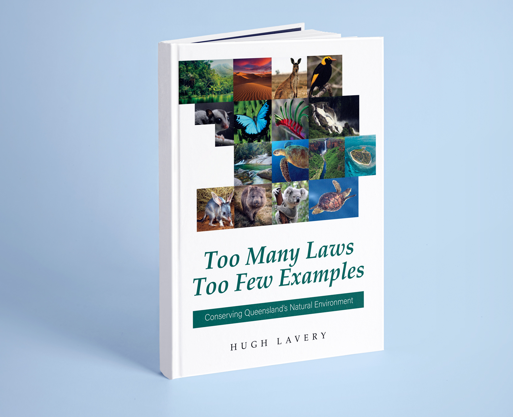 Book Cover Design by Kartik 41 for Australian Environment International | Design #25766730